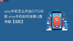 vivo手机怎么开启OTG功能 vivo手机如何连接U盘传输【适配】