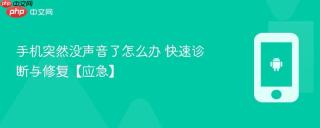 手机突然没声音了怎么办 快速诊断与修复【应急】