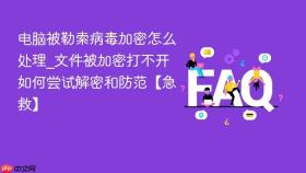 电脑被勒索病毒加密怎么处理_文件被加密打不开如何尝试解密和防范【急救】