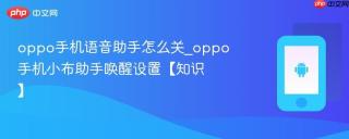 oppo手机语音助手怎么关_oppo手机小布助手唤醒设置【知识】