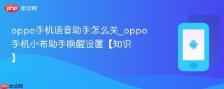 oppo手机语音助手怎么关_oppo手机小布助手唤醒设置【知识】