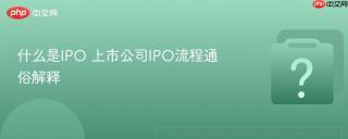 什么是ipo 上市公司ipo流程通俗解释