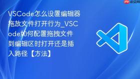 vscode怎么设置编辑器拖放文件打开行为_vscode如何配置拖拽文件到编辑区时打开还是插入路径【方法】