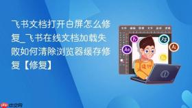 飞书文档打开白屏怎么修复_飞书在线文档加载失败如何清除浏览器缓存修复【修复】