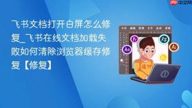 飞书文档打开白屏怎么修复_飞书在线文档加载失败如何清除浏览器缓存修复【修复】