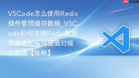 vscode怎么使用redis插件管理缓存数据_vscode如何连接redis数据库查看和编辑键值对缓存数据【攻略】