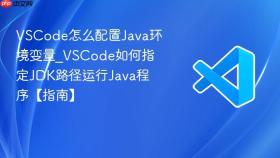 vscode怎么配置java环境变量_vscode如何指定jdk路径运行java程序【指南】
