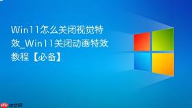 win11怎么关闭视觉特效_win11关闭动画特效教程【必备】