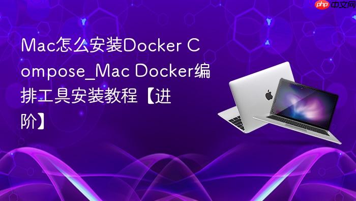mac怎么安装docker compose_mac docker编排工具安装教程【进阶】