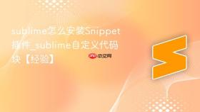 sublime怎么安装Snippet插件_sublime自定义代码块【经验】