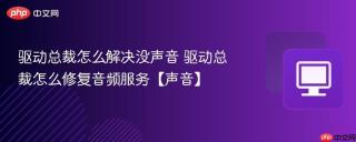 驱动总裁怎么解决没声音 驱动总裁怎么修复音频服务【声音】