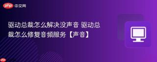 驱动总裁怎么解决没声音 驱动总裁怎么修复音频服务【声音】