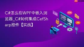 c#怎么在wpf中嵌入浏览器_c#如何集成cefsharp控件【实战】
