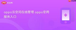 oppo云空间在线管理 oppo官网服务入口