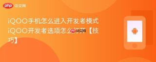 iqoo手机怎么进入开发者模式 iqoo开发者选项怎么打开【技巧】