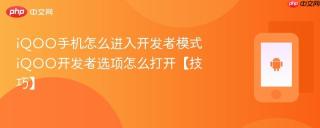 iQOO手机怎么进入开发者模式 iQOO开发者选项怎么打开【技巧】