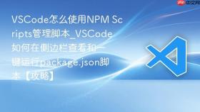 vscode怎么使用npm scripts管理脚本_vscode如何在侧边栏查看和一键运行package.json脚本【攻略】