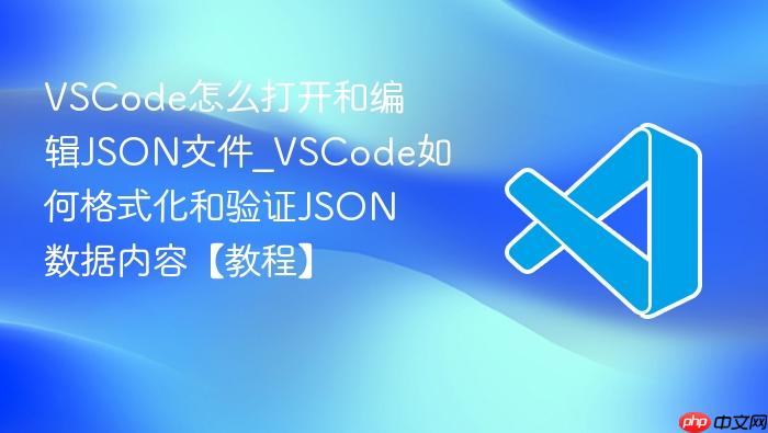 vscode怎么打开和编辑json文件_vscode如何格式化和验证json数据内容【教程】