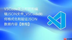 vscode怎么打开和编辑json文件_vscode如何格式化和验证json数据内容【教程】
