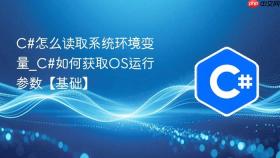 c#怎么读取系统环境变量_c#如何获取os运行参数【基础】