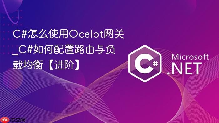 c#怎么使用ocelot网关_c#如何配置路由与负载均衡【进阶】