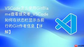 vscode怎么使用gitblame查看提交者_vscode如何在状态栏显示当前行的git作者信息【详解】