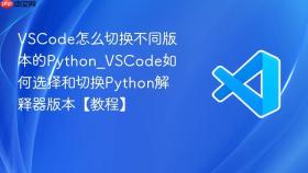 vscode怎么切换不同版本的python_vscode如何选择和切换python解释器版本【教程】