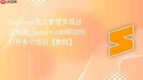 sublime怎么管理多项目工作流_sublime如何同时打开多个项目【教程】