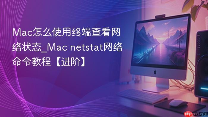 mac怎么使用终端查看网络状态_mac netstat网络命令教程【进阶】