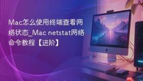 mac怎么使用终端查看网络状态_mac netstat网络命令教程【进阶】