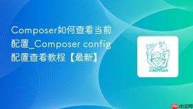 composer如何查看当前配置_composer config配置查看教程【最新】