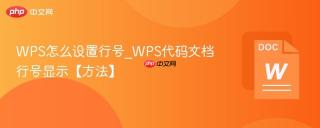 wps怎么设置行号_wps代码文档行号显示【方法】