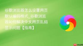 谷歌浏览器怎么设置网页默认编码格式_谷歌浏览器如何解决中文网页乱码显示问题【指南】