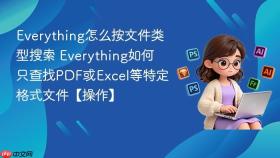 everything怎么按文件类型搜索 everything如何只查找pdf或excel等特定格式文件【操作】