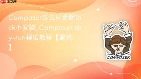 composer怎么只更新lock不安装_composer dry-run模拟教程【避坑】