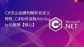 c#怎么创建和解析自定义特性_c#如何读取attribute元数据【核心】