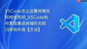 vscode怎么设置终端光标样式形状_vscode如何更改集成终端的光标闪烁和外观【方法】