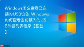 Windows怎么查看已连接的USB设备_Windows如何查看当前接入的USB外设列表信息【基础】