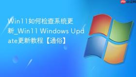 win11如何检查系统更新_win11 windows update更新教程【通俗】