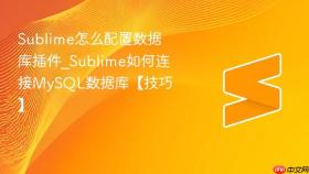 sublime怎么配置数据库插件_sublime如何连接mysql数据库【技巧】