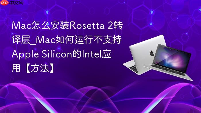 mac怎么安装rosetta 2转译层_mac如何运行不支持apple silicon的intel应用【方法】
