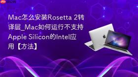 mac怎么安装rosetta 2转译层_mac如何运行不支持apple silicon的intel应用【方法】