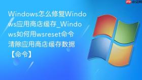 windows怎么修复windows应用商店缓存_windows如何用wsreset命令清除应用商店缓存数据【命令】
