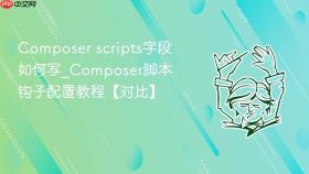 Composer scripts字段如何写_Composer脚本钩子配置教程【对比】