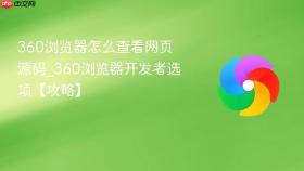 360浏览器怎么查看网页源码_360浏览器开发者选项【攻略】
