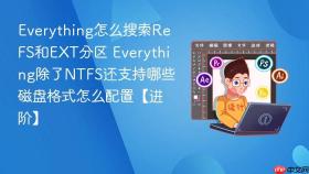 Everything怎么搜索ReFS和EXT分区 Everything除了NTFS还支持哪些磁盘格式怎么配置【进阶】