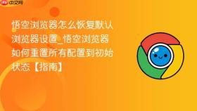 悟空浏览器怎么恢复默认浏览器设置_悟空浏览器如何重置所有配置到初始状态【指南】