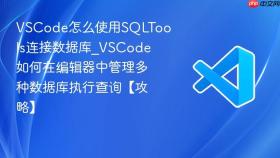vscode怎么使用sqltools连接数据库_vscode如何在编辑器中管理多种数据库执行查询【攻略】