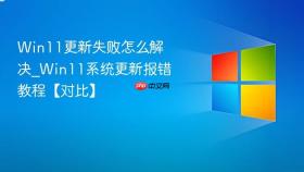 win11更新失败怎么解决_win11系统更新报错教程【对比】