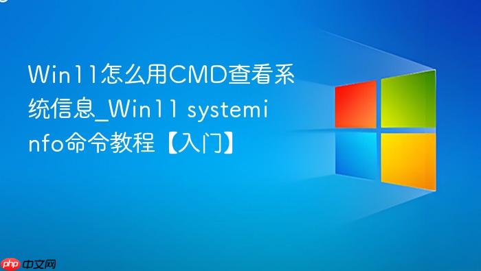 win11怎么用cmd查看系统信息_win11 systeminfo命令教程【入门】